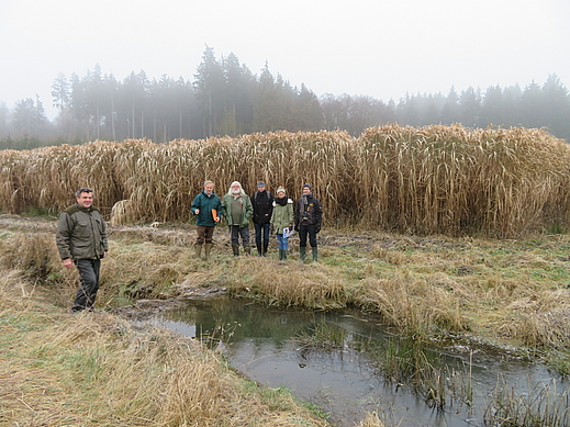 Ortstermin im "FFH-Gebiet Bachmuschelbestände südlich Thalmassing"